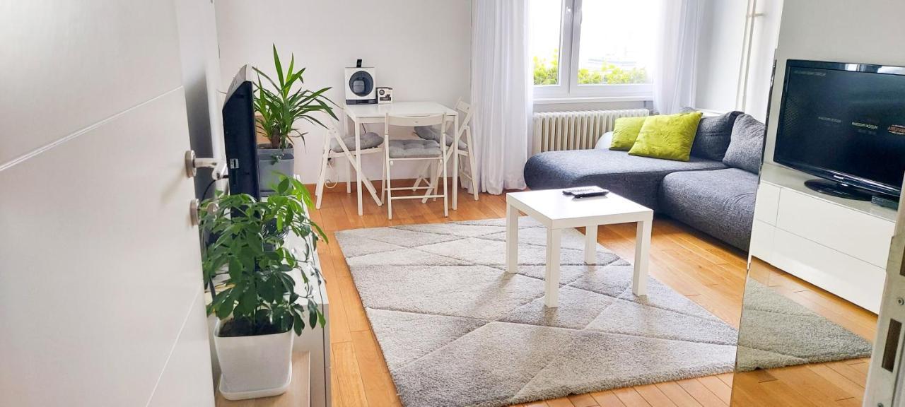 בלגרד High White Apartments מראה חיצוני תמונה